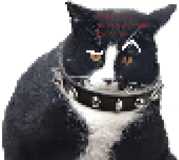 meow2